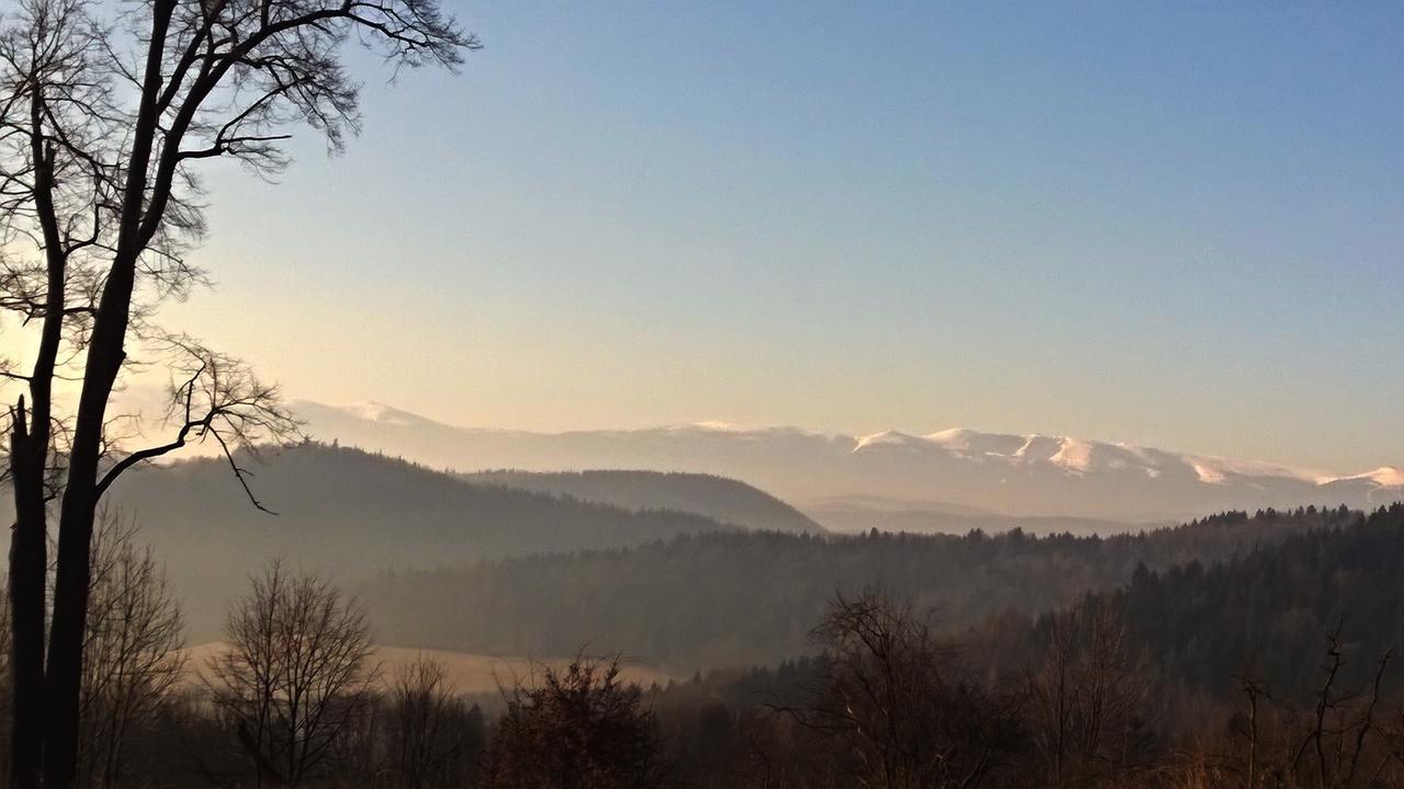 Dom Goscinny Pod Zamkiem Wlen Exterior foto