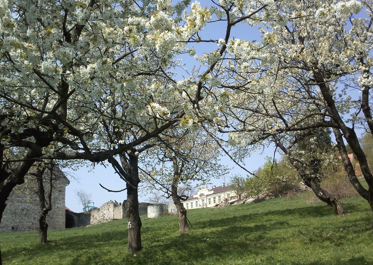 Dom Goscinny Pod Zamkiem Wlen Exterior foto